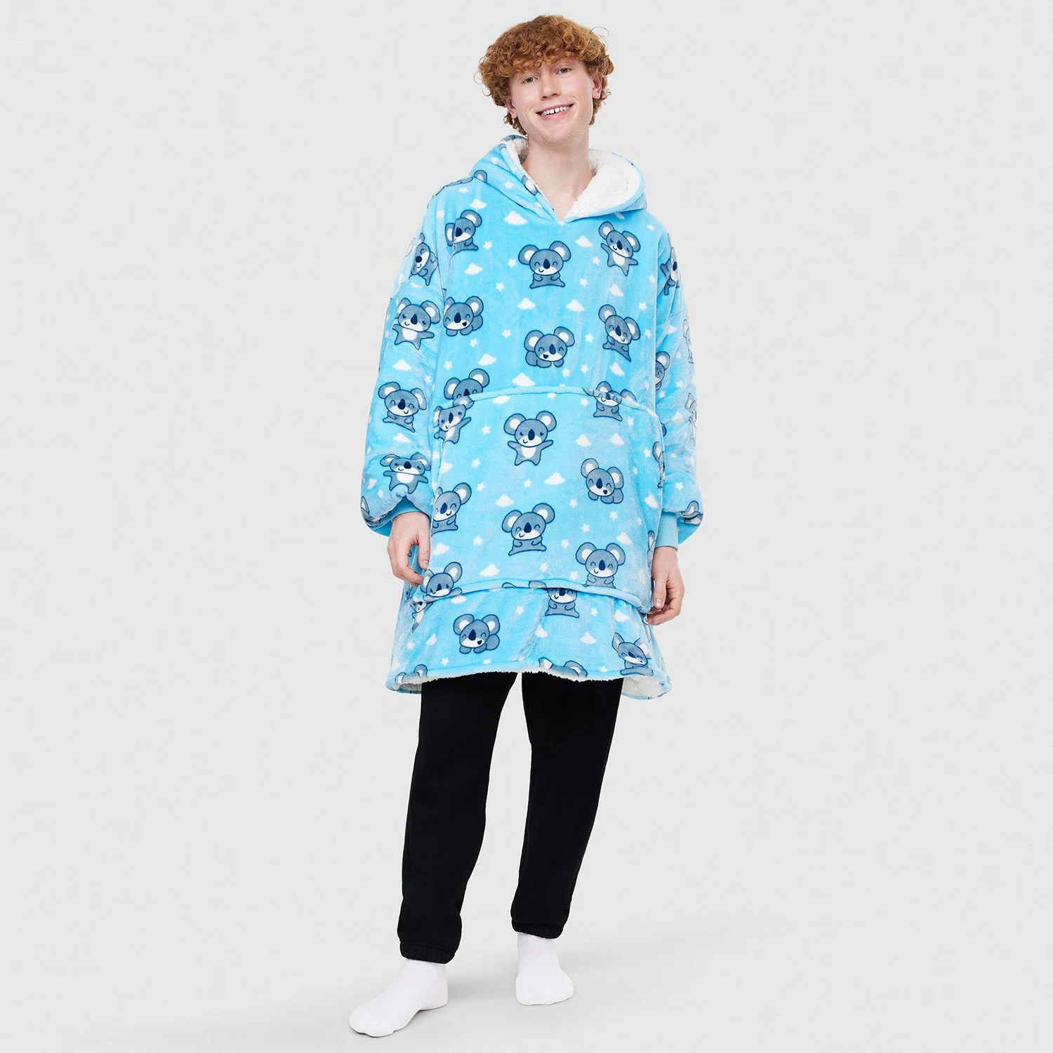 Koala - Image 3